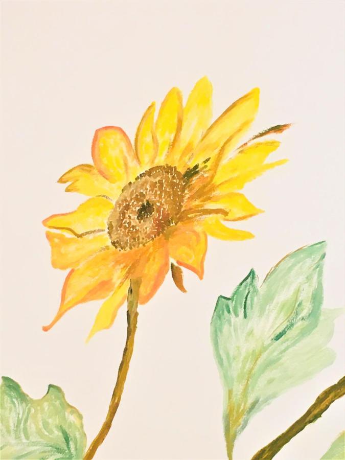 Il Girasole Apartamento Caprino Veronese Exterior foto